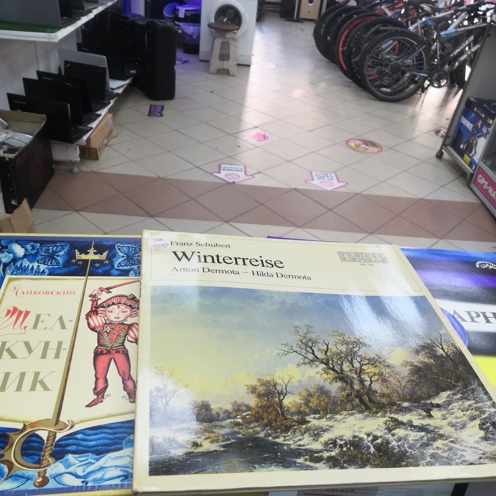 Виниловая пластинка