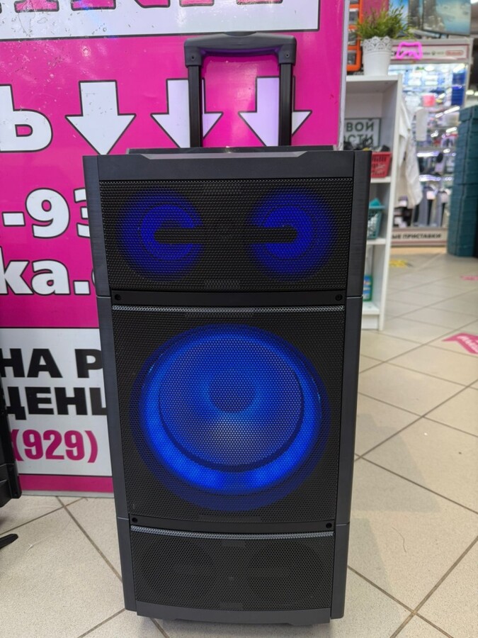 Акустика AIWA CAS-2021